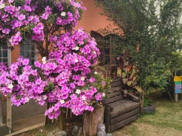 Chácara - Santa Isabel - 1.000 metros - 2 CASAS